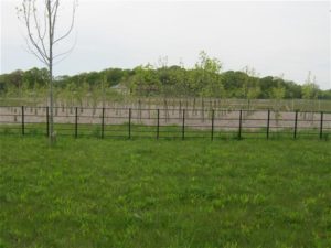 Estate Fencing 1