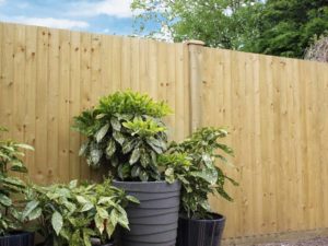 FeatherFlat 3 FeatherFlat 3