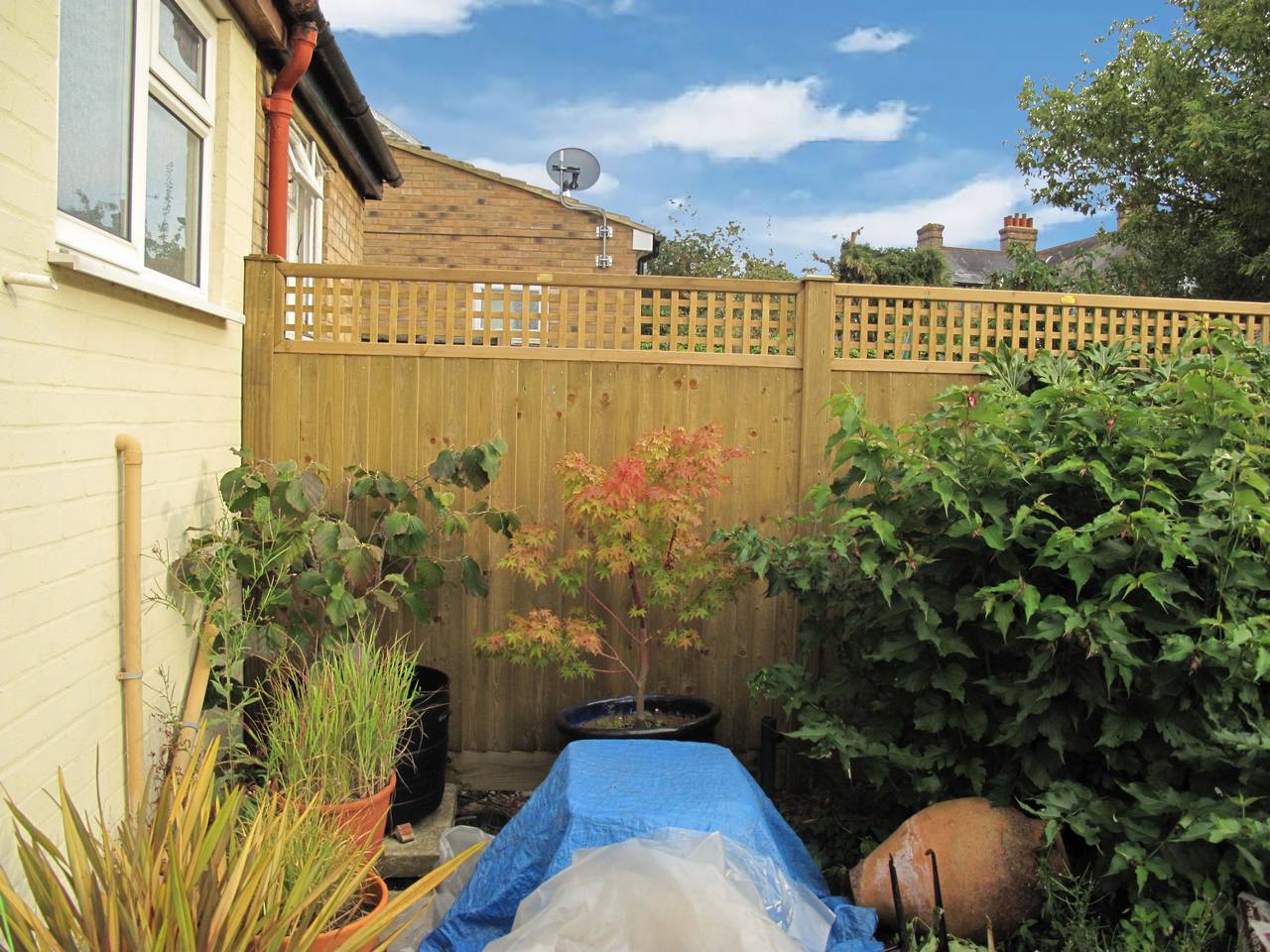 FeatherFlat 5 FeatherFlat 5