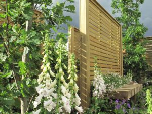 Venetian 5 Venetian 5