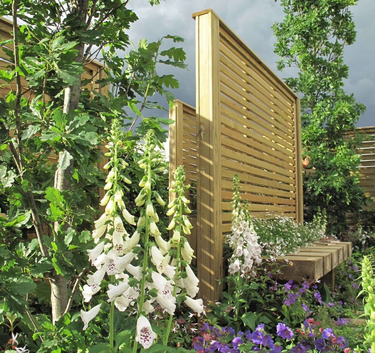 Venetian 5 Venetian 5