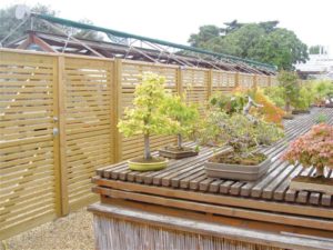 Venetian 6 Venetian 6