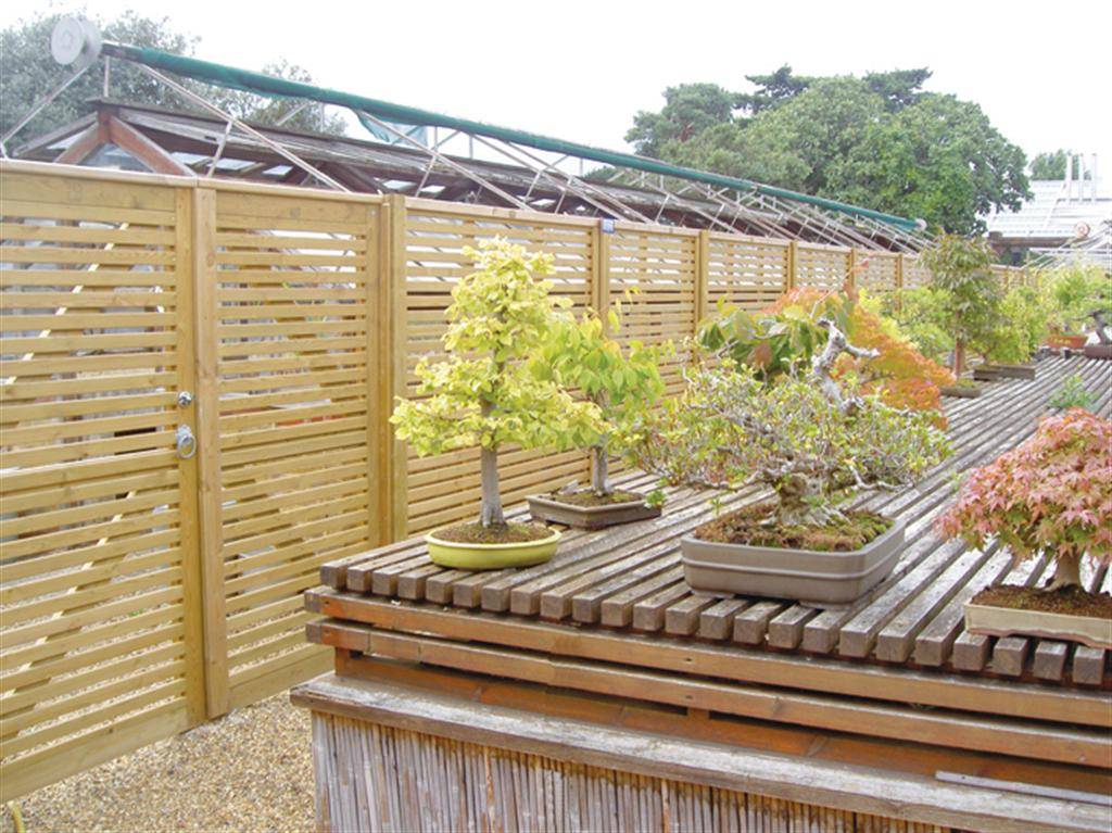 Venetian 6 Venetian 6