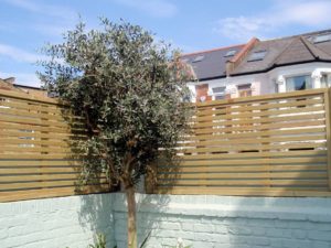 Venetian 7 Venetian 7