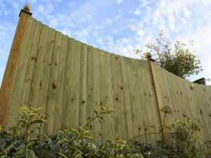 featherConcave 1 featherConcave 1