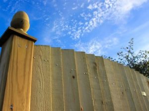 featherConvex 1 featherConvex 1