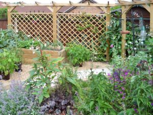 trellisDiamond 1 trellisDiamond 1