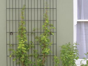 trellisMetal 1 trellisMetal 1