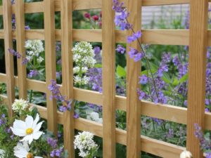 trellisTartan 7 trellisTartan 7